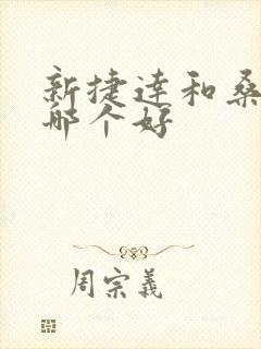 新捷达和桑塔纳哪个好