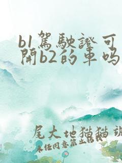 b1驾驶证可以开b2的车吗 b1驾驶证可以开b2的车吗