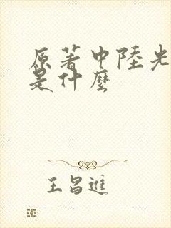 原著中陆光结局是什么