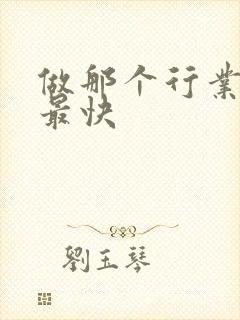 做那个行业赚钱最快