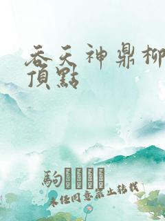吞天神鼎柳无邪顶点