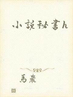 小说秘书h