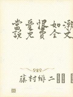 当爱恨如潮生小说免费全文