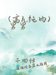 (高h,纯肉)男男