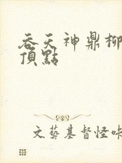 吞天神鼎柳无邪顶点