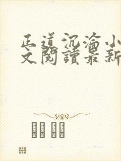 正道沉沦小说全文阅读最新章节列表