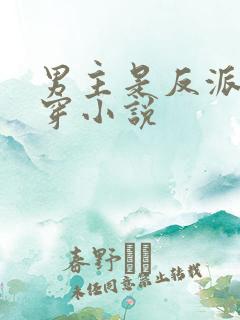 男主是反派的快穿小说