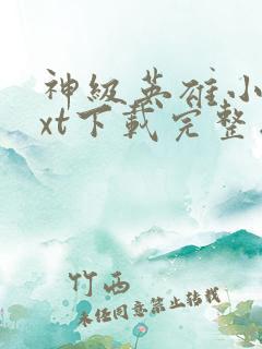 神级英雄小说txt下载完整版