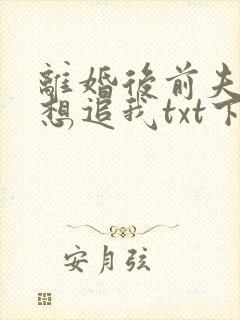 离婚后前夫总是想追我txt下载