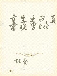 重生之我真没想当暖男txt