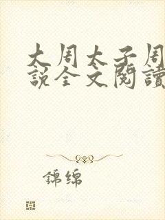 大周太子周铮小说全文阅读无弹窗