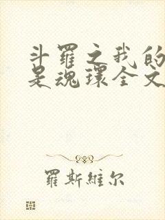 斗罗之我的武魂是魂环全文阅读阅读
