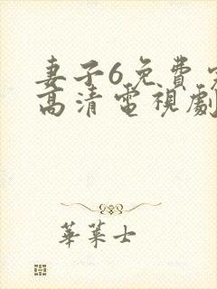 妻子6免费完整高清电视剧看