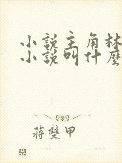 小说主角林辰的小说叫什么
