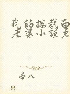 我的总裁白富美老婆小说免费读