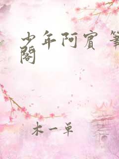 少年阿宾 笔趣阁