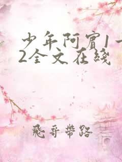 少年阿宾1一72全文在线