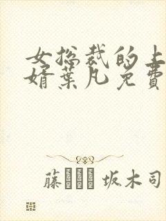 女总裁的上门女婿叶凡免费看