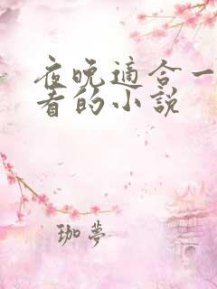 夜晚适合一个人看的小说