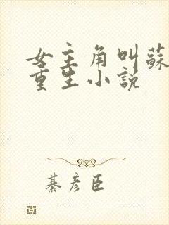 女主角叫苏洛的重生小说