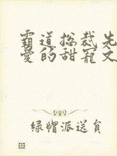 霸道总裁先婚后爱的甜宠文小说