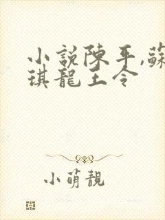 小说陈平,苏雨琪龙王令