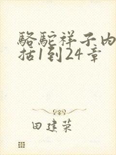 骆驼祥子内容概括1到24章