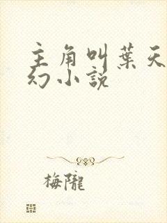 主角叫叶天的玄幻小说