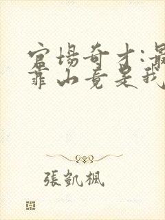 官场奇才:最强靠山竟是我自己李澜全本阅