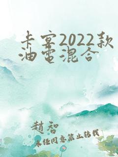 卡宴2022款油电混合