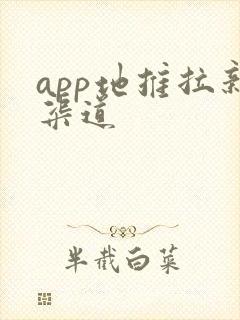 app地推拉新渠道