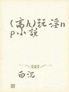 (高h)玩淫np小说