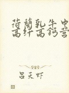 荷兰乳牛中老年高纤高钙营养奶粉