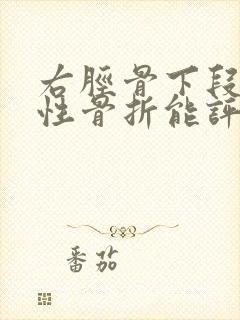右胫骨下段粉碎性骨折能评几级伤残