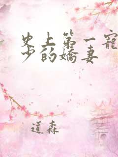 史上第一宠婚慕少的娇妻