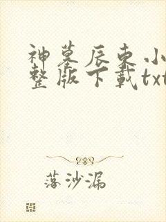 神墓辰东小说完整版下载txt