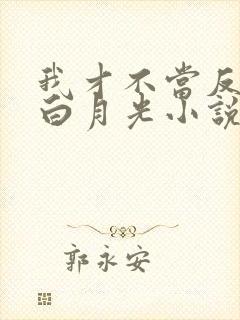 我才不当反派的白月光小说免费阅读