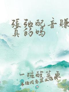 张弛配音赚钱是真的吗