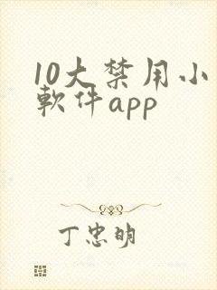 10大禁用小说软件app