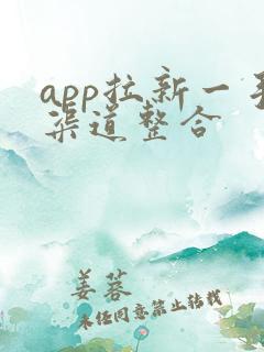 app拉新一手渠道整合