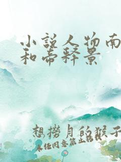 小说人物南知意和帝释景