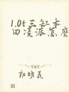 1.0t三缸本田凌派怎么样