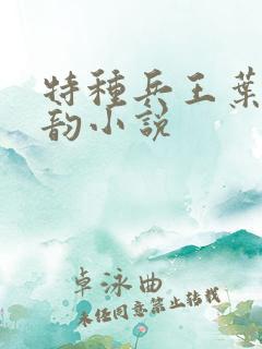 特种兵王叶凡沈韵小说