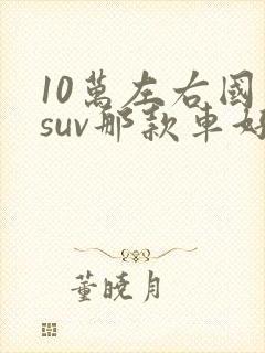 10万左右国产suv那款车好