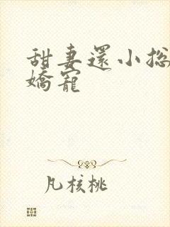 甜妻还小总裁需娇宠