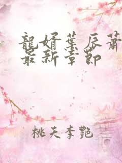 龙婿叶辰萧初然最新章节