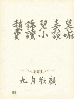 赵锦儿秦慕修免费读小说嘛