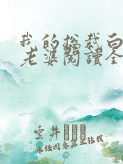 我的总裁白富美老婆阅读全文作者
