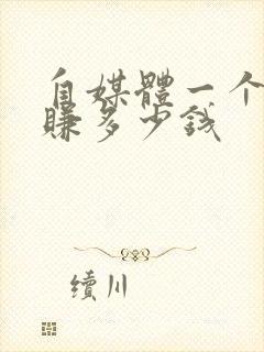 自媒体一个月能赚多少钱