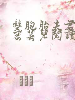 双胞胎夫君的秘密芸儿阅读全文